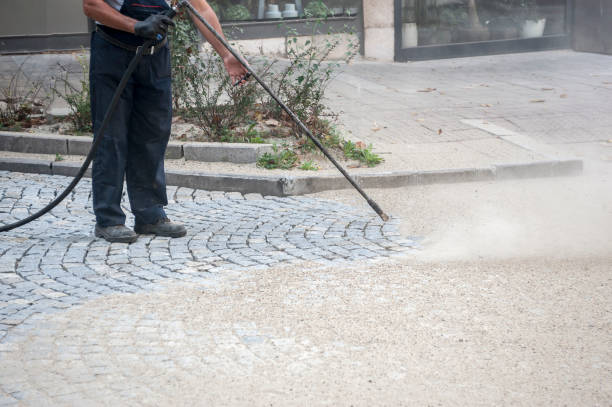 Animal Enclosure Cleaning in Somers Point, NJ